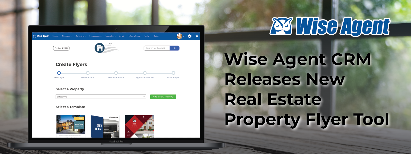 Wise Agent Brand Guide